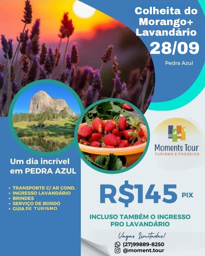 Excursão Pedra Azul (Colheita do Morango e Lavandário). Embarque: Vila Velha - ES