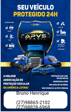 APVS Brasil