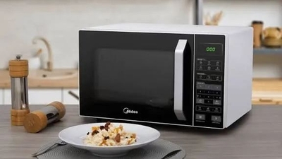 Conserto de Microondas