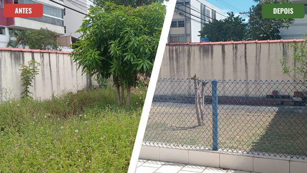 Roçagem Profissional Com Preço Especial