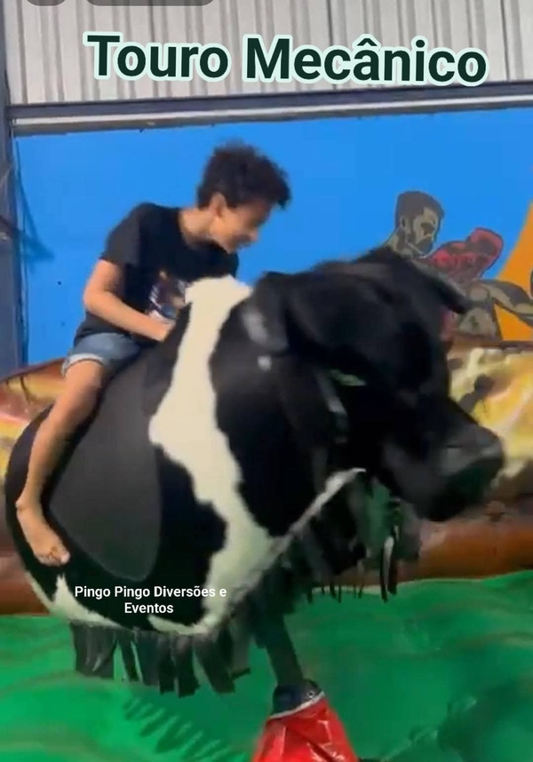 Pingo Pingo Diversões e Eventos