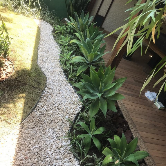 serjap-jardinagemg4576.png