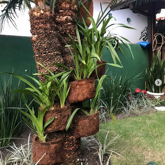 serjap-jardinagemg4578.png