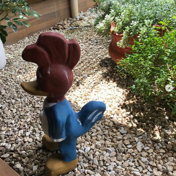serjap-jardinagemg4584.png