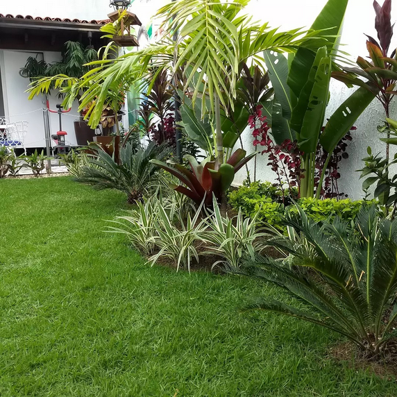 serjap-jardinagemg4594.png