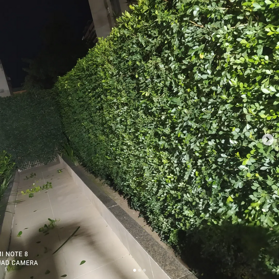 serjap-jardinagemg4602.png